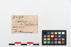 Etiketten zu Bronzearmreif (NHMW-PRAE-024134)